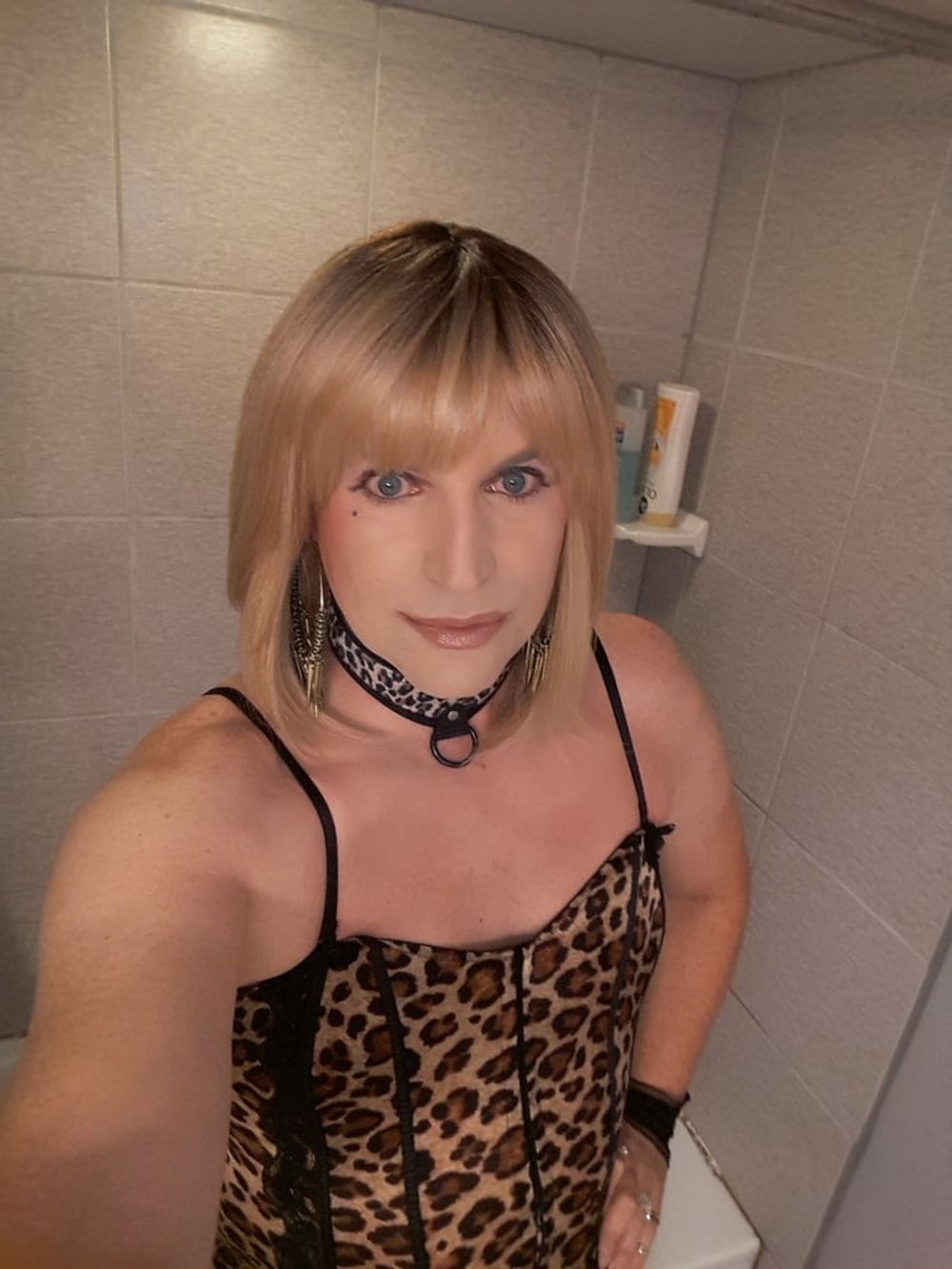 Tranny Cougar #23