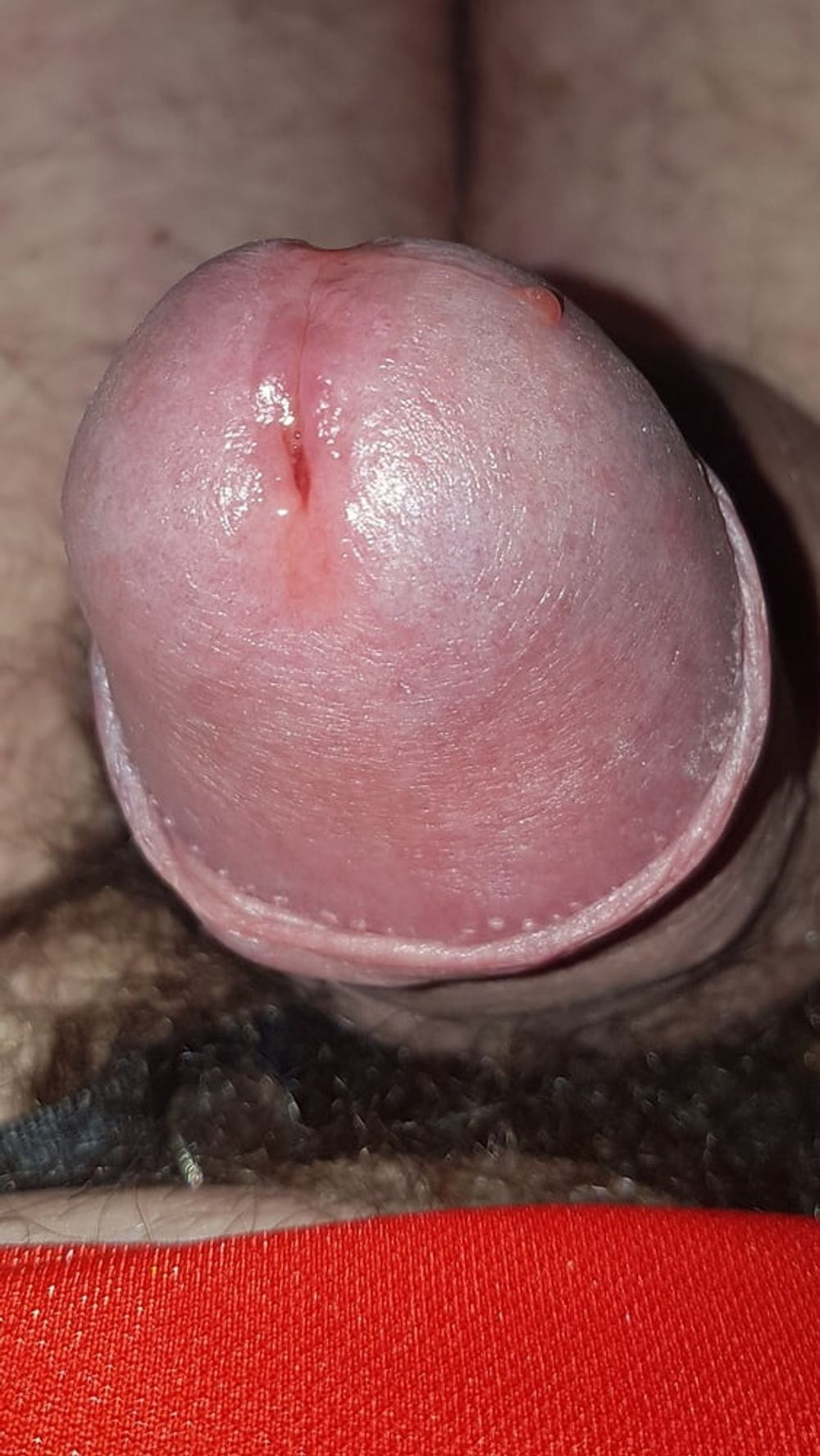 Precum and cum #13