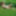 Naked in the grass 