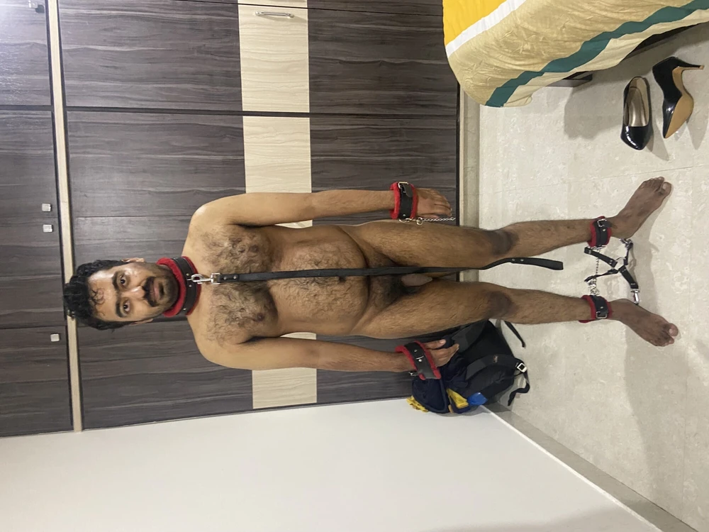 Male slave dog for women.  #4