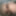 Crazy horny 