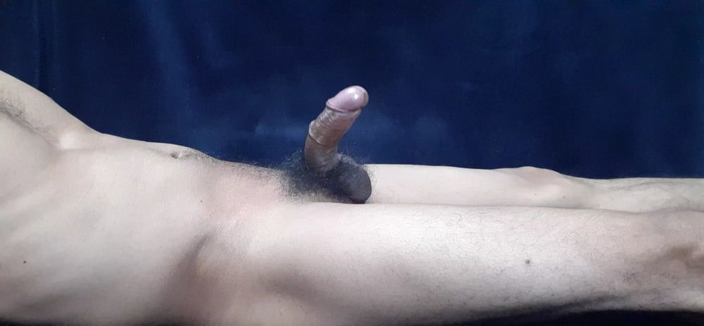 Cock  #5