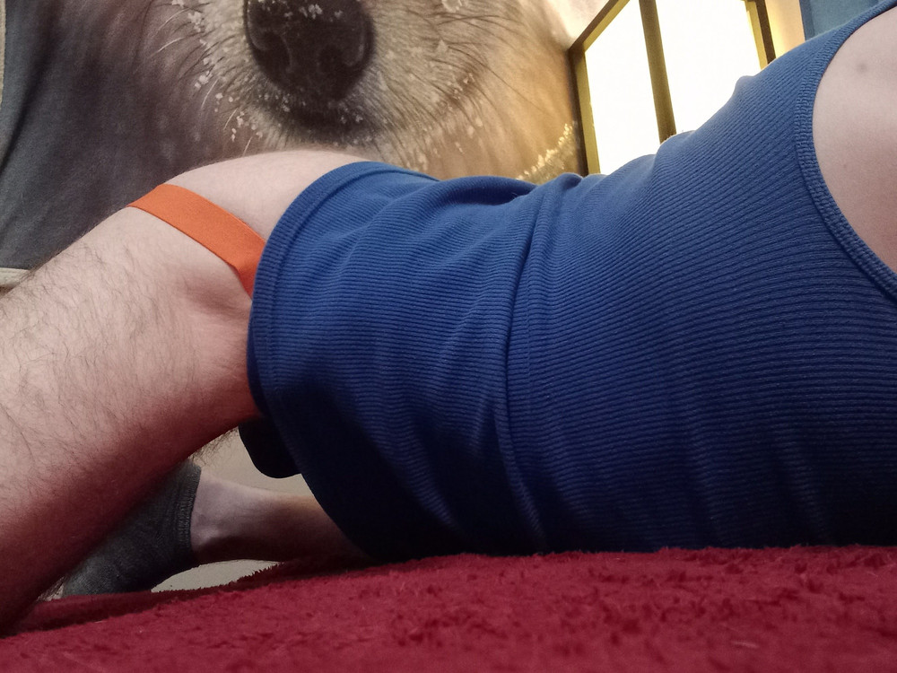 Puppers Showing off in underwear...again #2