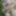 Naked in the forest #4
