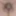 LOktober 23, 2024 Daily duty of the naked slave #6