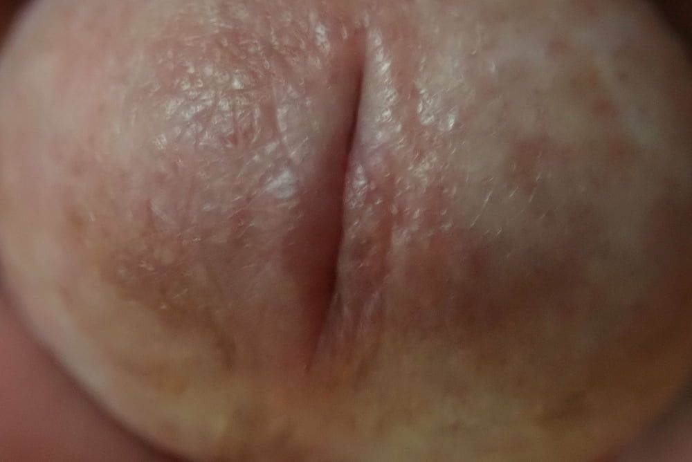 close up penis #8