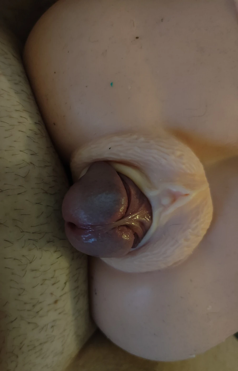 Cock comes out of the Masturbator 