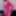 Sissy Slut Ashley Jolene Modeling A Hot Pink Catsuit