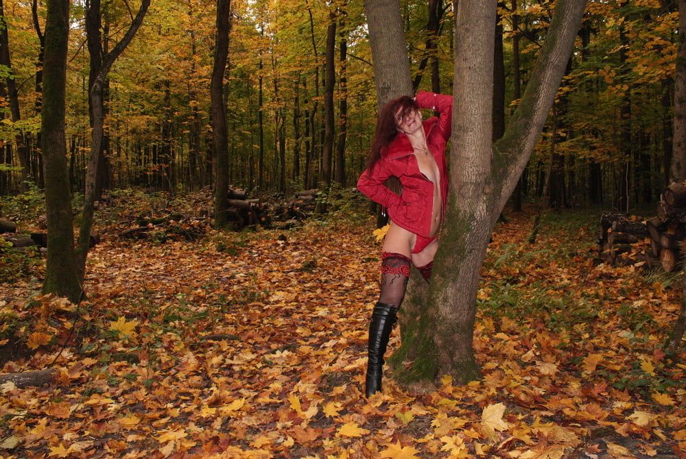 Red Autumn 5 #28