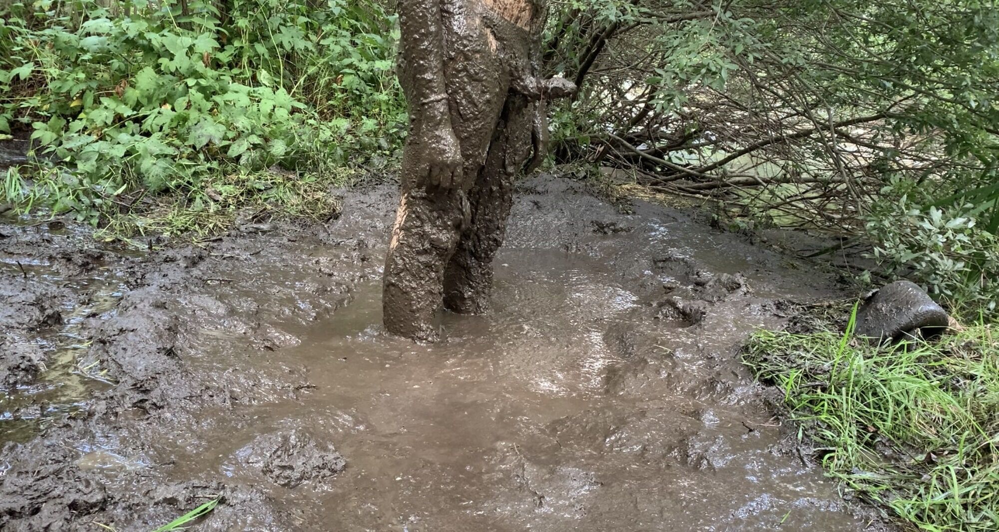 Mud ! Mud ! Mud ! #31