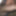 Indian black cock