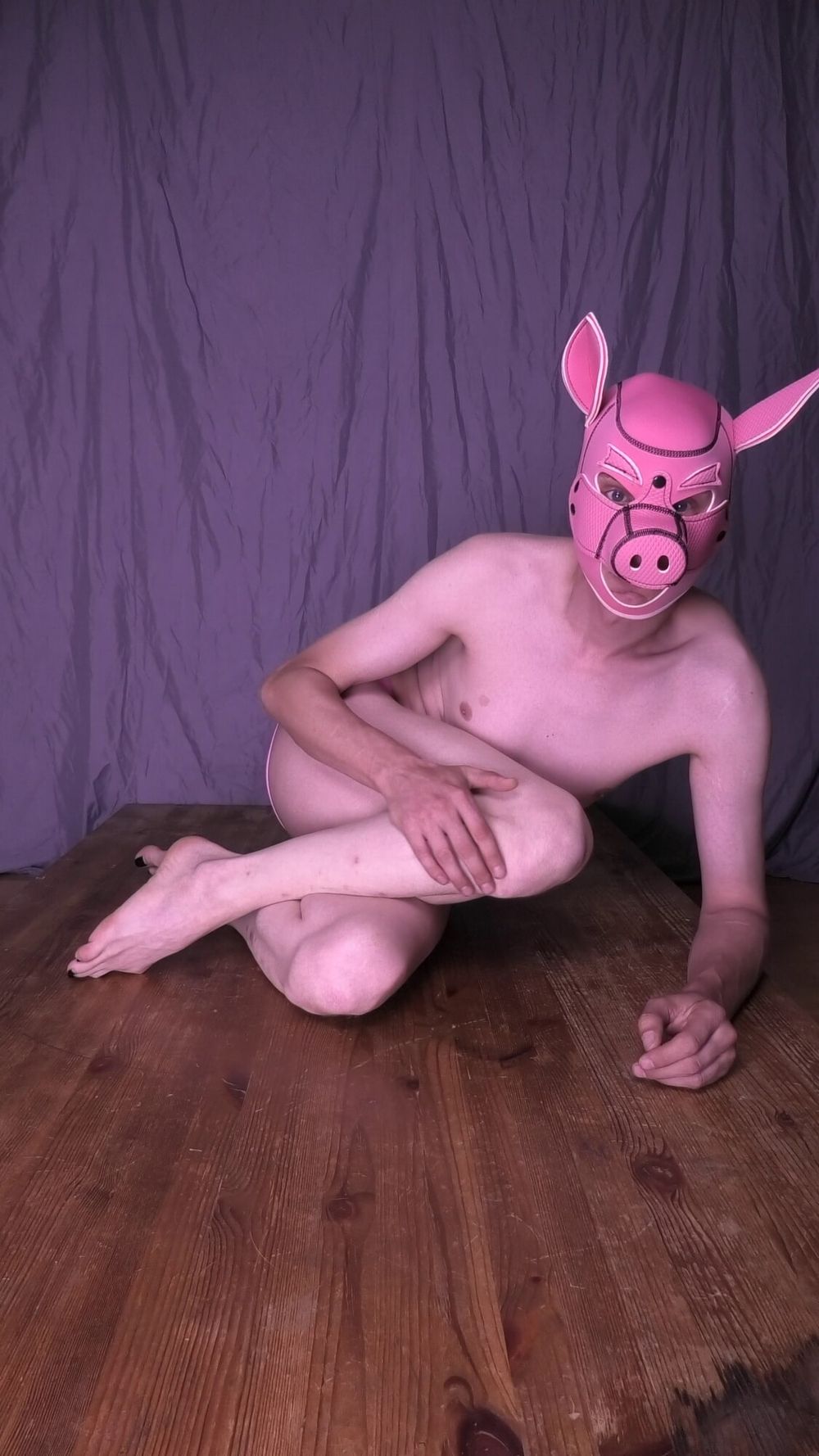 Pink Pig #23