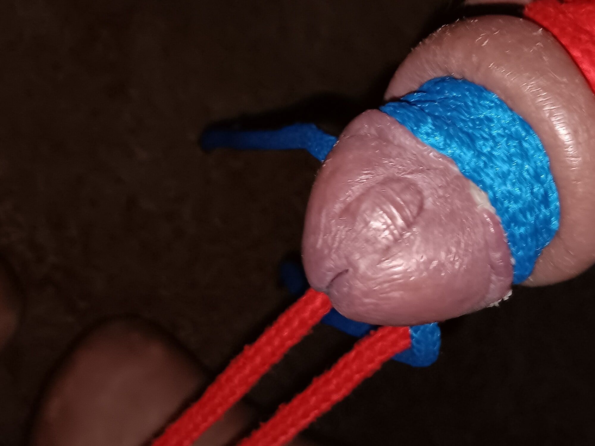 Penis torture