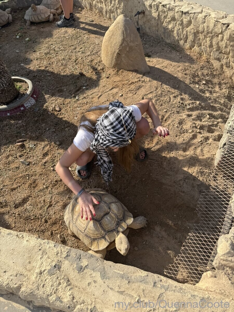 Alberta Free Photos #48