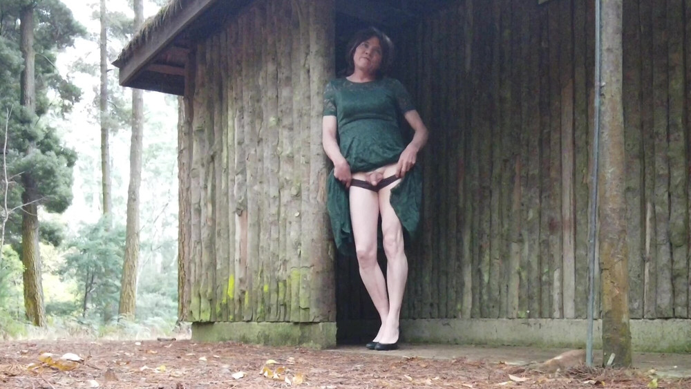 Crossdress Roadtrip - Green Dress #8