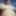 Clothespins 2022