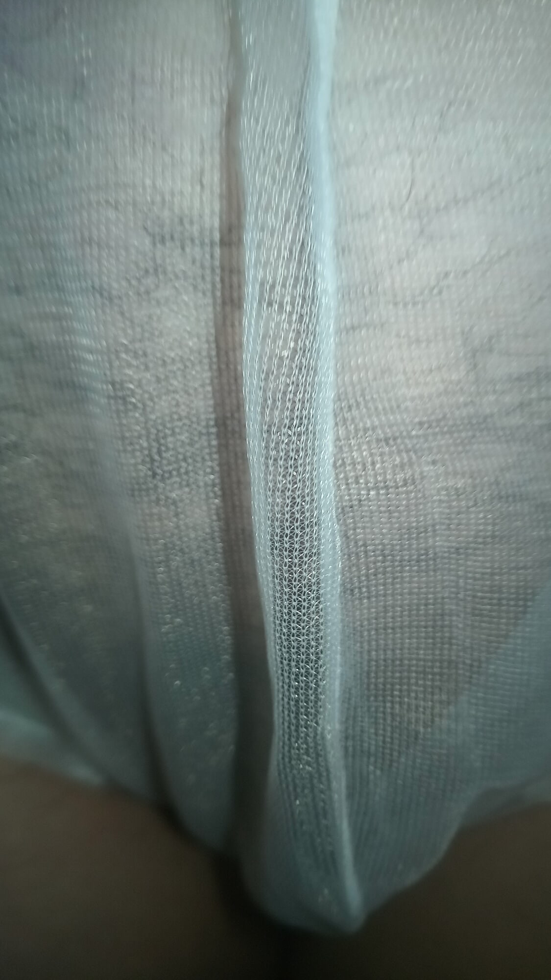 Hairy pussy in sheer panties #2