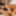 8TeenHub - Alektra Blue Loves Taking Loads To The Face #9