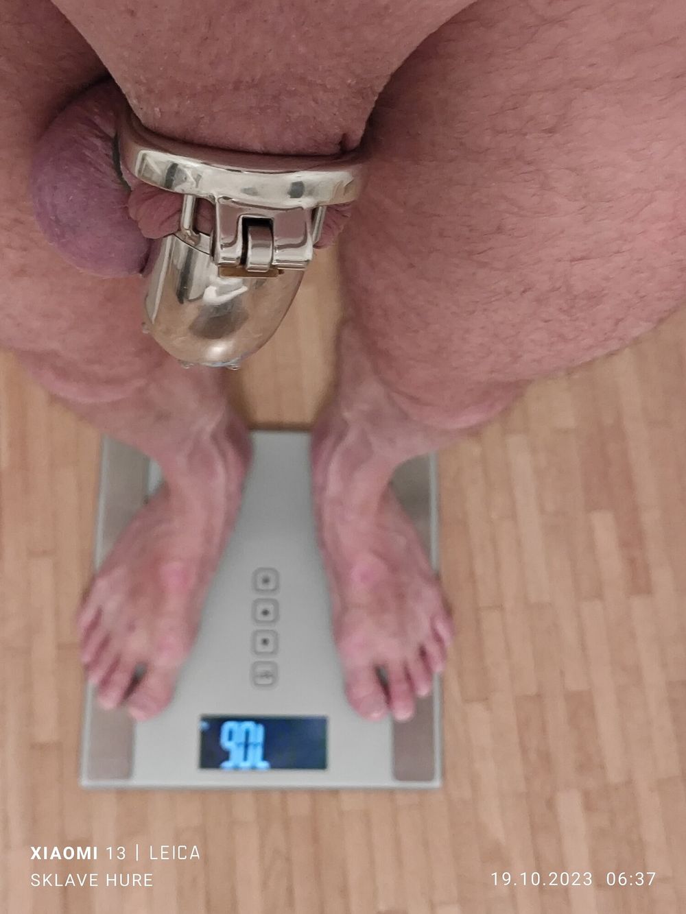 Mandatory Weighing, Cagecheck Oktober 19, 2023 #5