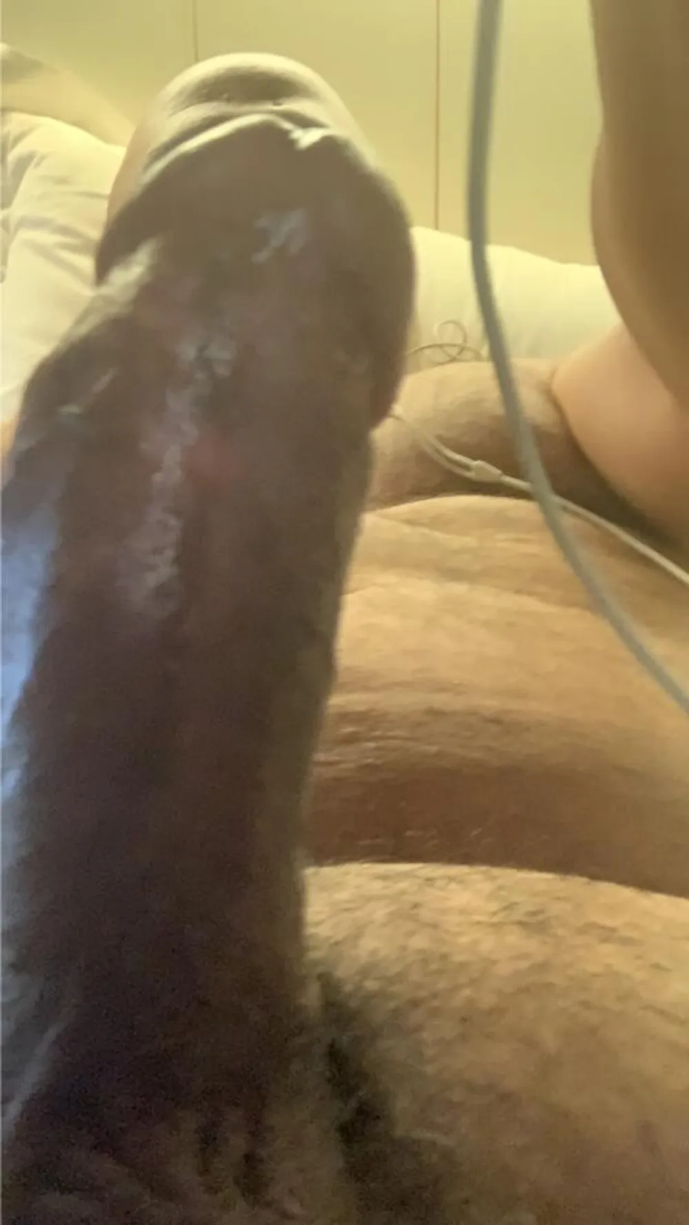 Cock #4