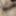 Nudes