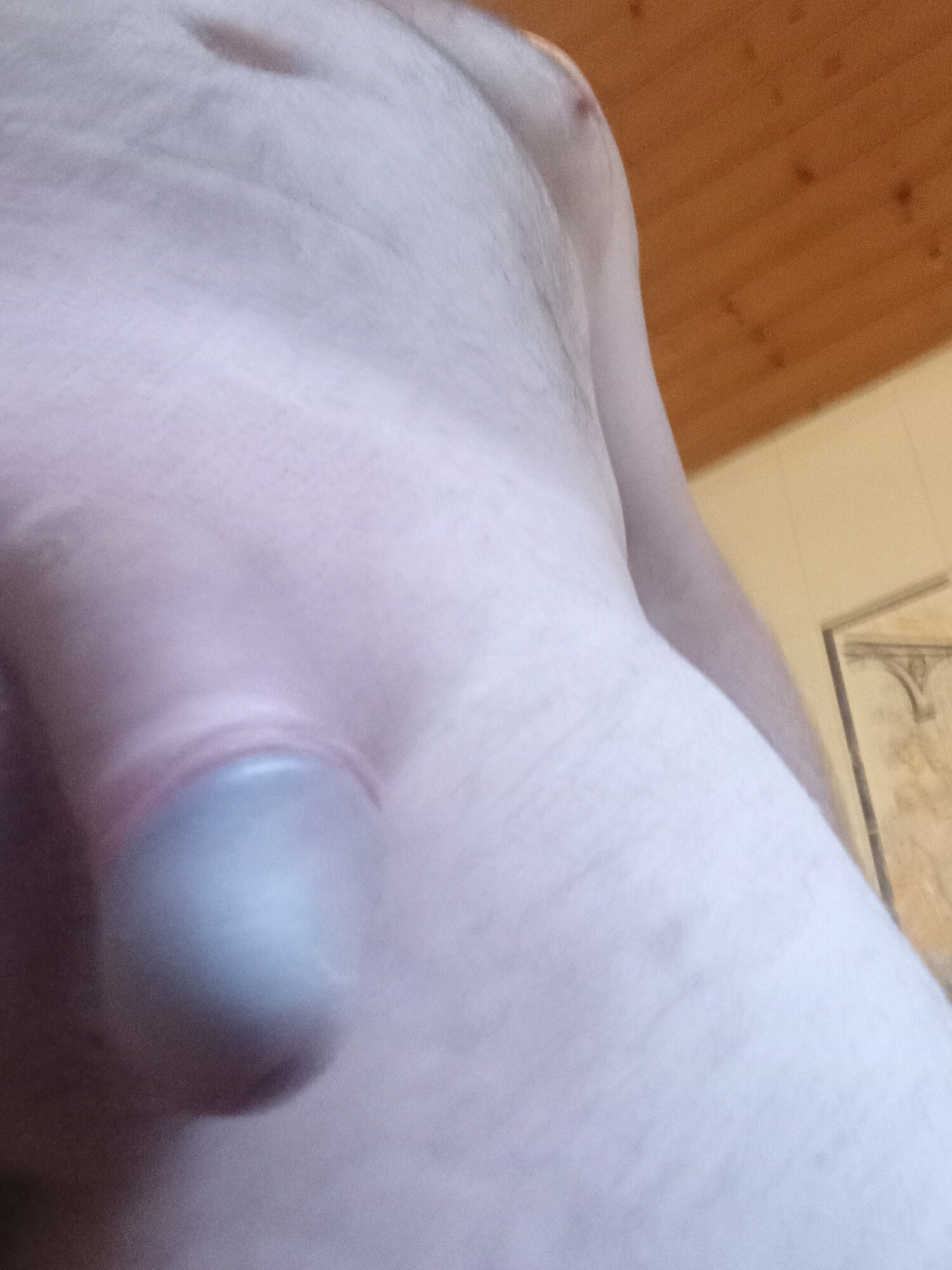Shaven #12