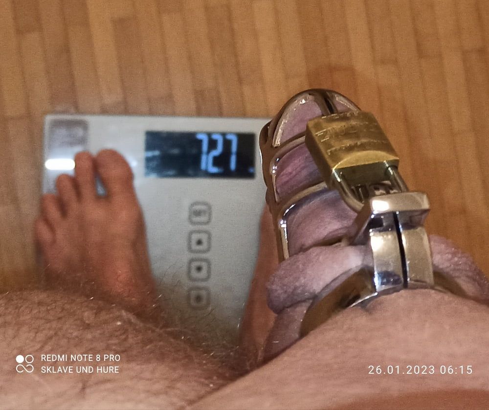 weighing, nippleplay and cagecheck of 26.01.2023 #2