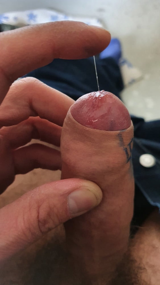 My Dick 15