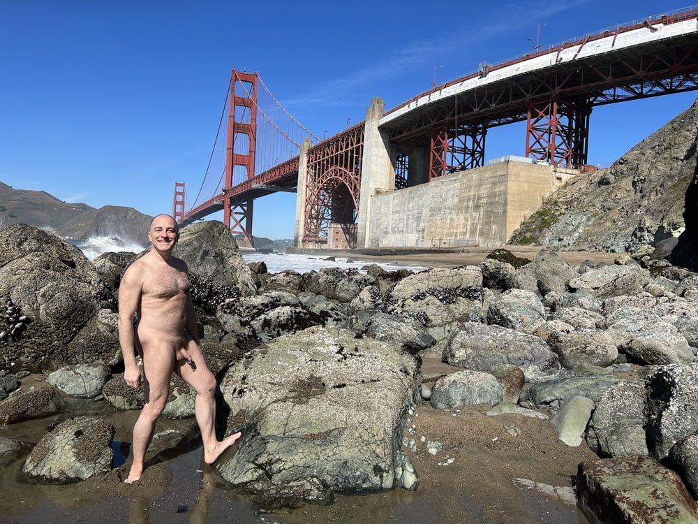 Public Nude Beach Erection #5