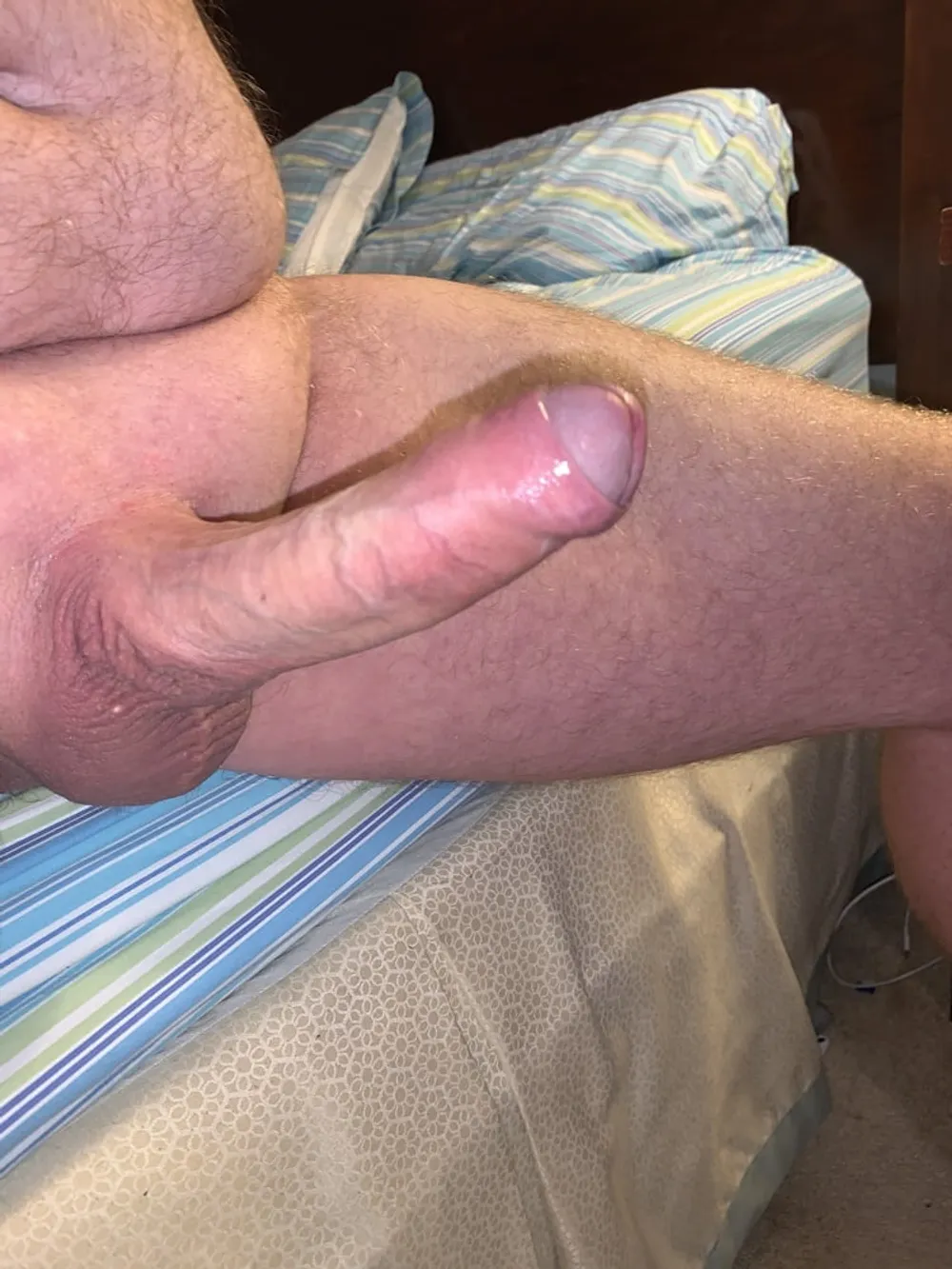 Cock #28