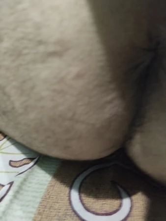My ass hole 