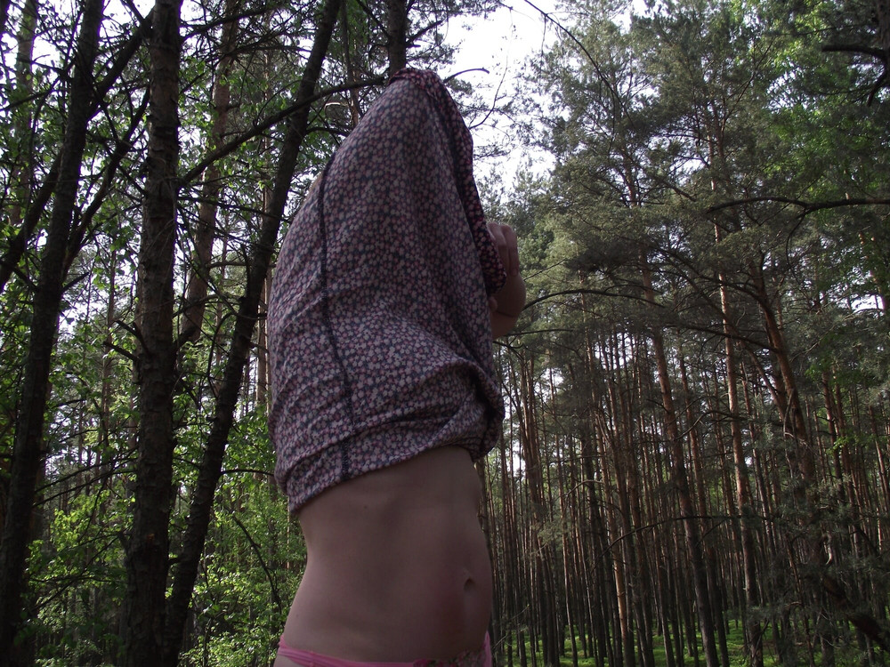 Whispers of the Wild: Her Forest Tale #11