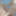 news aout 2018 #2