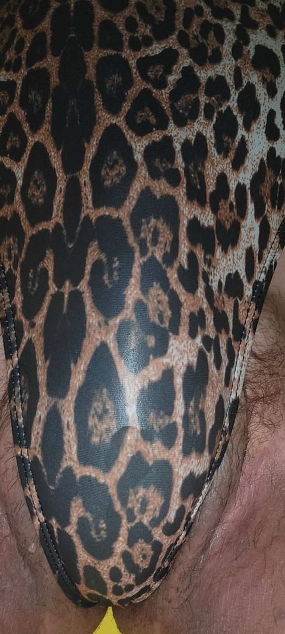 Wet leopard  #7