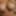 Horny wife with cum on her pussy