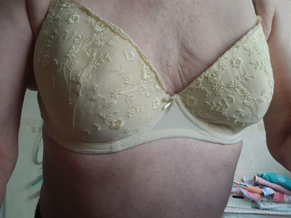 Which bra today #4