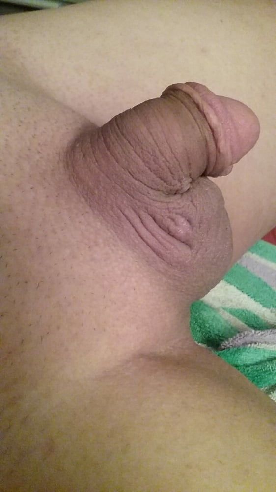 My circumcised penis new pics #9