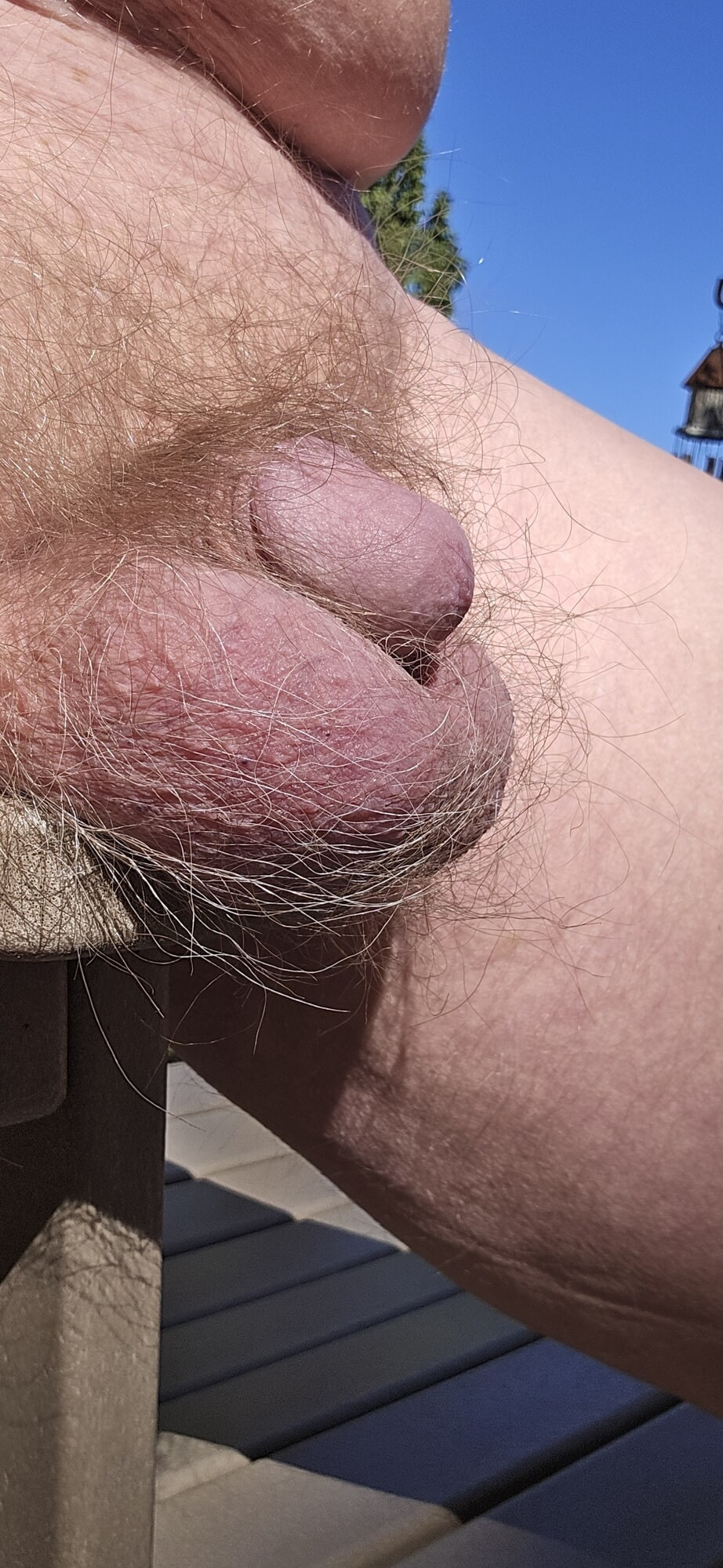 אפריל סאנשיין