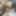 Cumshot Vol.1 #13