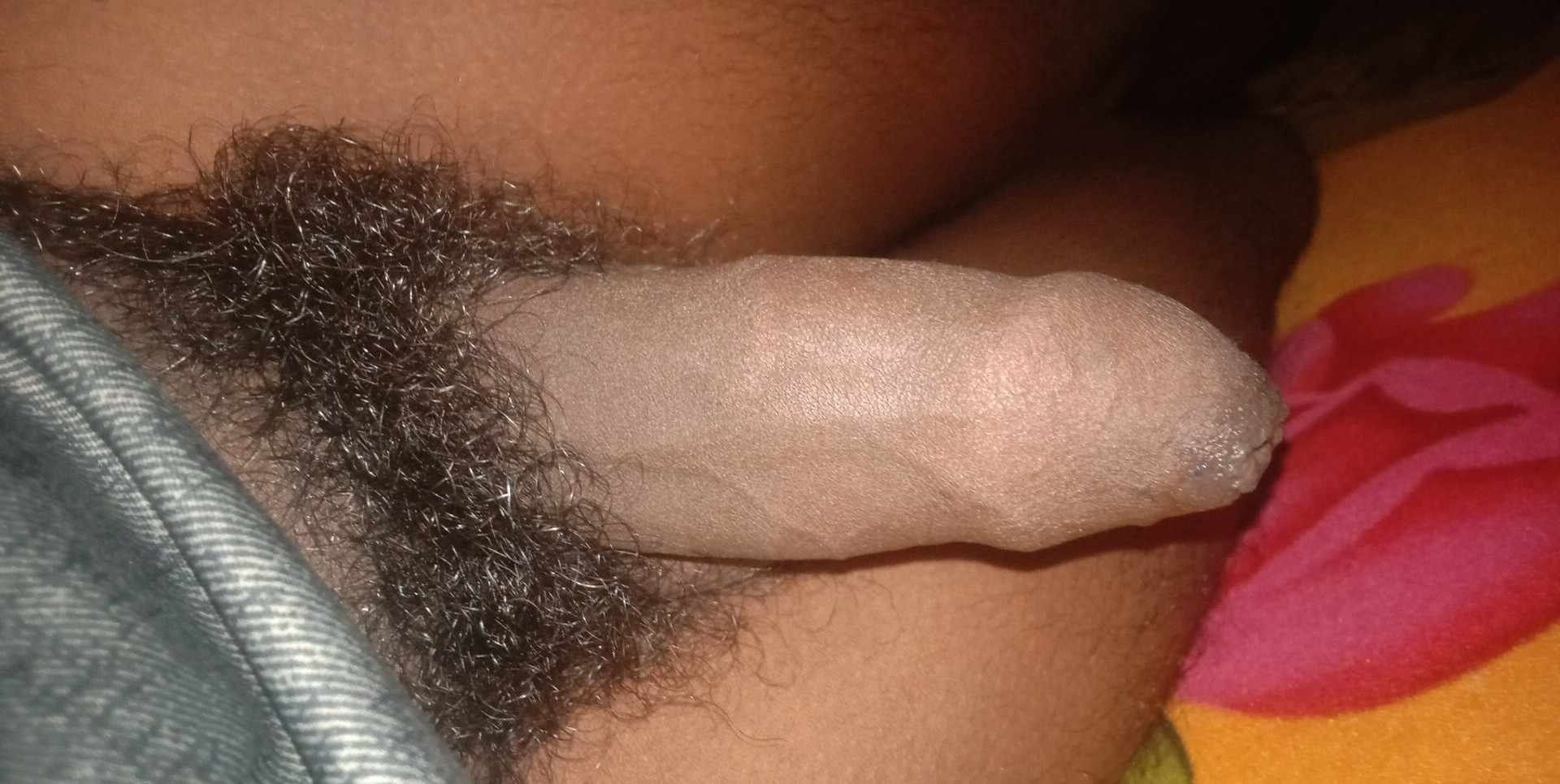 hairy indian penis