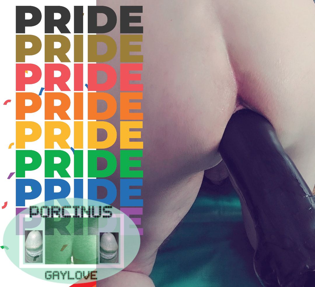 Pride love #15