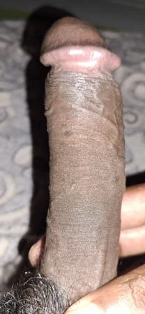My Dick today collection 