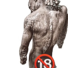 ダーク・トーラス