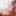 FRANKS-TGIRLWORLD:そんなに無邪気な子猫じゃない!