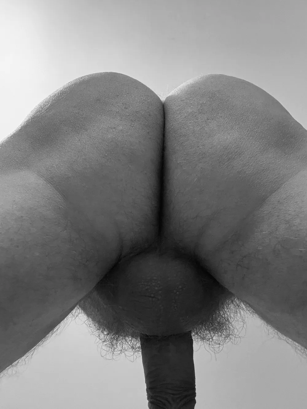 Hairy Oldie 25 #10