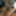 Two maids serve a black dick #5