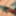 New Heels Preview #53
