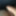 Shaved Dick With Cum Filled Balls Cockhead Foreskin Play