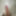 My long cock