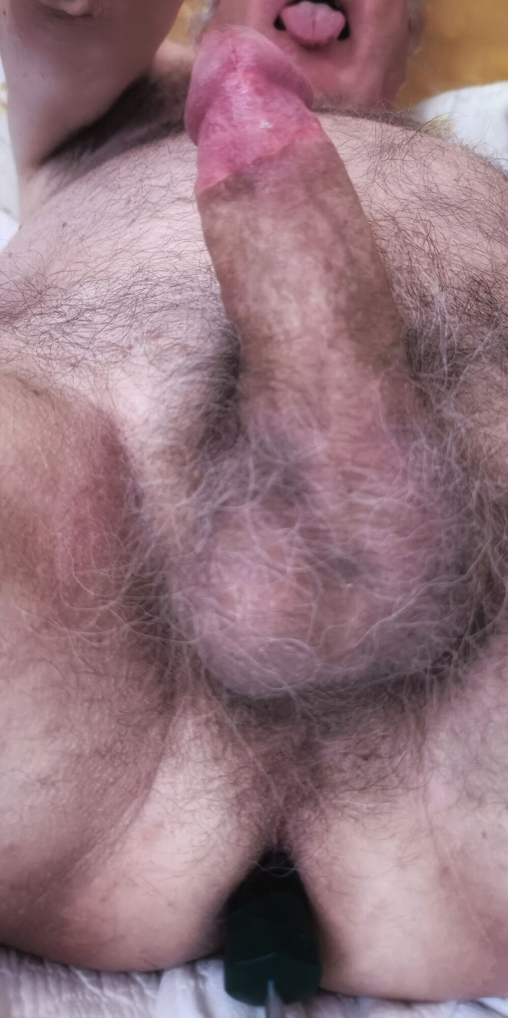 Tholenero ass exhibition  #27